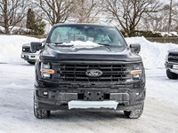 2025 FORD F-150 XLT 4WD SUPERCREW 5.5' BOX