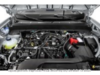 2024 Ford Maverick XLT FWD SuperCrew Exterior Shot 3