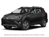 2018 Toyota RAV4 Hybrid AWD Hybrid LE+ Magnetic Grey Metallic  Shot 1