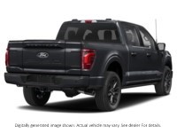 2025 FORD F-150 PLATINUM 4WD SUPERCREW 5.5' BOX Agate Black Metallic  Shot 6